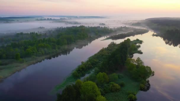 Foggy Matin Sur Les Courbes Rivière — Video