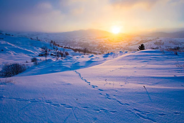 Hermoso paisaje. Brillante sol saliendo por encima de las montañas. Concepto de invierno —  Fotos de Stock