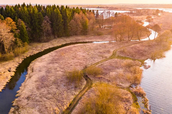 Beautiful golden landscape. River curve and green forest in countryside, aerial scenery — Stock Photo, Image