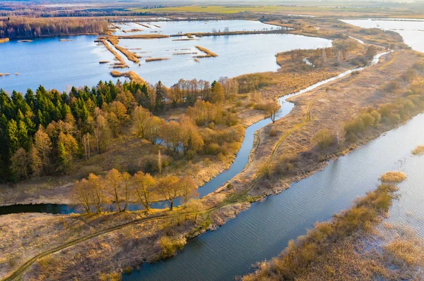 Rašelinové bažiny na venkově. Slunečná krajina. Letecká scenérie — Stock fotografie