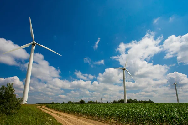 Alternatív energia. Szélerőművek létre a kukorica területén a vidéken. Nyári táj — Stock Fotó