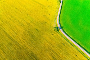 Tarım arazilerinde yol dönüş. Hava manzarası. Yukarıdan sarı colza ve yeşil mısır tarlası