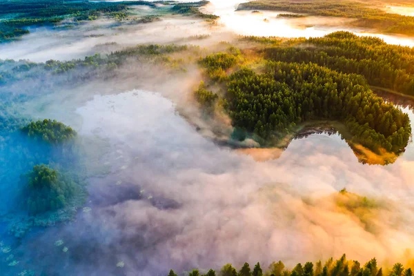 La forêt de conifères entoure les lacs à la campagne. Concept du lever du soleil. Environnement en milieu rural — Photo