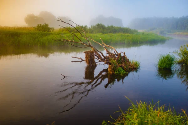 Trockener Haken im Fluss, ländliche Landschaft. Ökologiekonzept. nebliger Morgen — Stockfoto