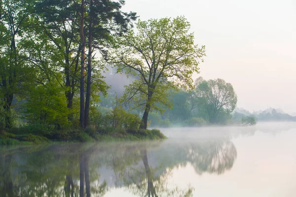 Concept de brouillard. Les Grecs poussent le long de la rivière le matin brumeux. Beau paysage — Photo