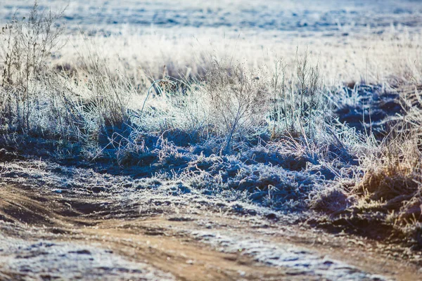 Trockenes Gras weiß mit Frost am Morgen. Landschaftskonzept. schöne Landschaft — Stockfoto