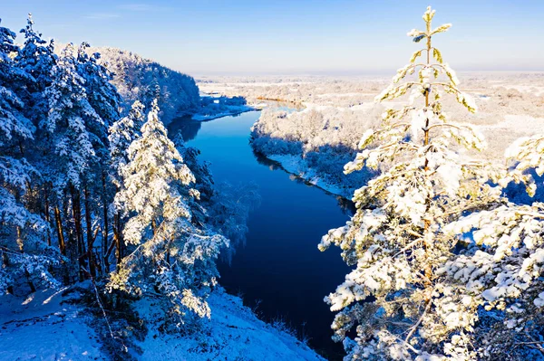 Sunny day starts over river in winter, aerial landscape. River shore concept. Snowy forest in rural area