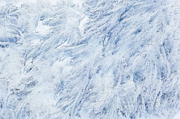 Młode drzewa spadły po zamieci śnieżnej, krajobraz z powietrza. Koncepcja opadów śniegu — Zdjęcie stockowe