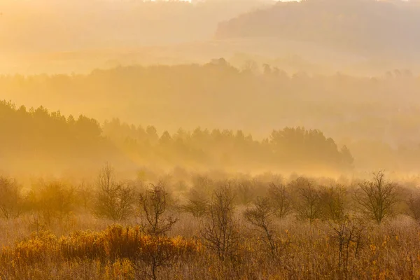 Seasons change in mountains, morning landscape. Golden light in nature concept