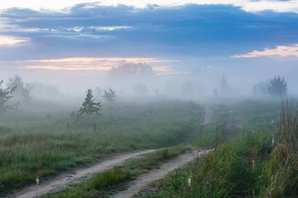 Green field in heavy fog. Morning landscape of a beautiful road in the field