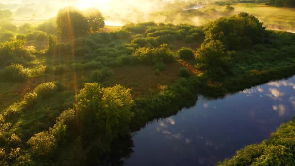Sabah Yaz Manzarası Güneşin Doğuşunda Güzel Bir Doğa Nehirli Bir — Stok video
