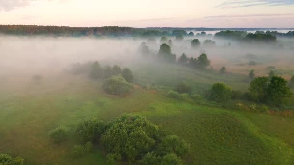 Piękny Wieczór Mgłą Nad Boiskiem Krajobraz Lasem Polami — Wideo stockowe
