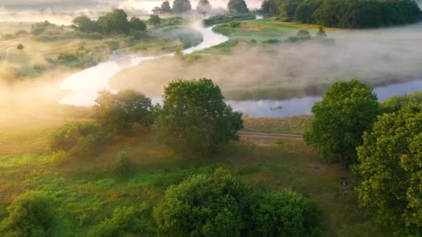 Mgła Rano Nad Równiną Równiną Rzeki Łące Krajobraz Lotu Ptaka — Wideo stockowe