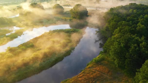 Widok Góry Zamgloną Rzekę Pole Wczesnym Rankiem Lesie Koncepcja Turystyki — Wideo stockowe