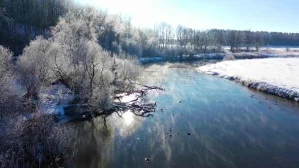 Hafif Bir Siste Nehirde Dondurucu Bir Sabah Nehrin Yanındaki Ağaçlarda — Stok video