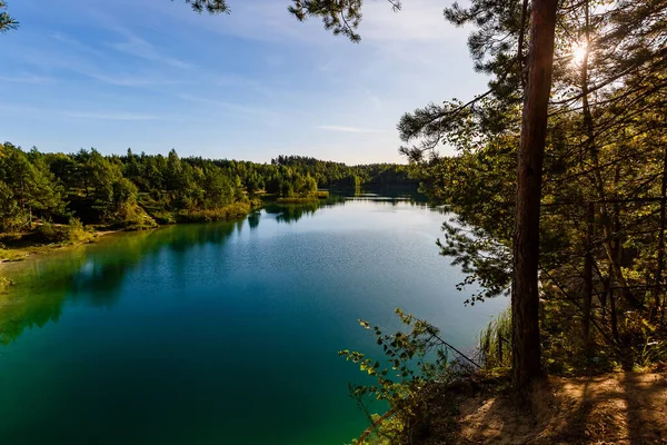 Slunečný Den Lese Jezera Krásná Krajina Ekologie Venkově — Stock fotografie