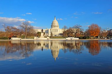 Batı Yakası ABD Capitol binası ve Ulysses S Grant Anıt Washington Dc yansıtan havuzu ile Noel ağacı sonbaharda yansıyan