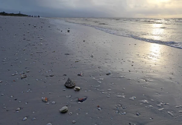 Снаряди Пісок Прибій Пляжі Сході Сонця Острові Sanibel Флорида Маяк — стокове фото