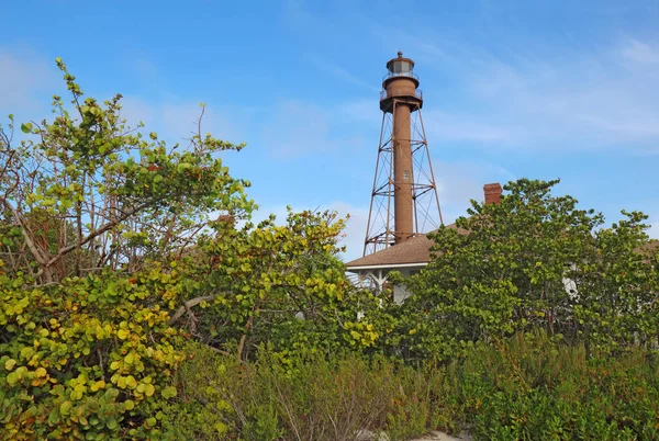サニベル島または周辺植生灯台ビーチ公園から眺めるとサニベル島 フロリダ州のポイント Ybel ライト — ストック写真