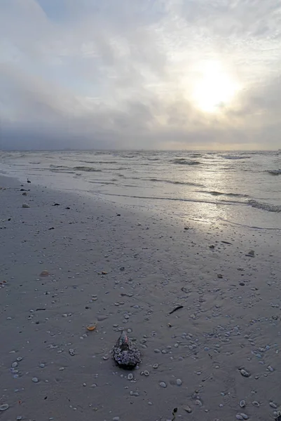 在佛罗里达州萨尼贝尔岛的阳光下 在阳光下的阳光下 垂直的贝壳 沙子和海浪 — 图库照片