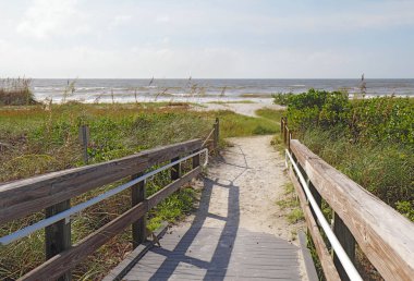 Deniz yulaf ve diğer bitki örtüsü biraz bulutlu bir sabahı Sanibel Island, Florida plaja giriş