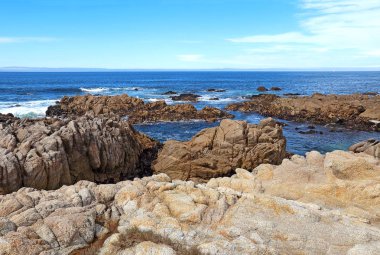 Yosun ve gelgit havuzları Asilomar devlet Beach Pacific Grove'da Monterey Kaliforniya Yarımadası üzerinde kayalık blöf aşağıda düşük tide ortaya çıkarır