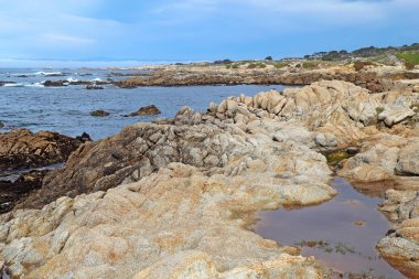 Yosun ve gelgit havuzları Asilomar devlet Beach Pacific Grove'da Monterey Kaliforniya Yarımadası üzerinde kayalık blöf aşağıda düşük tide ortaya çıkarır
