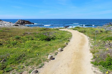Pacific Grove, California'daki Monterey Peninsula üzerinde Asilomar devlet plajda blöf geçit