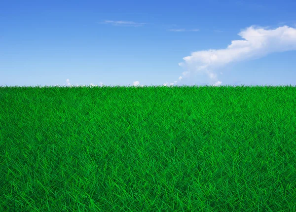 Green Grass Field Blue Sky White Clouds — Stock Photo, Image