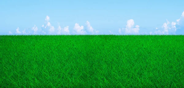 Green Grass Field Light Blue Sky White Clouds — Stock Photo, Image