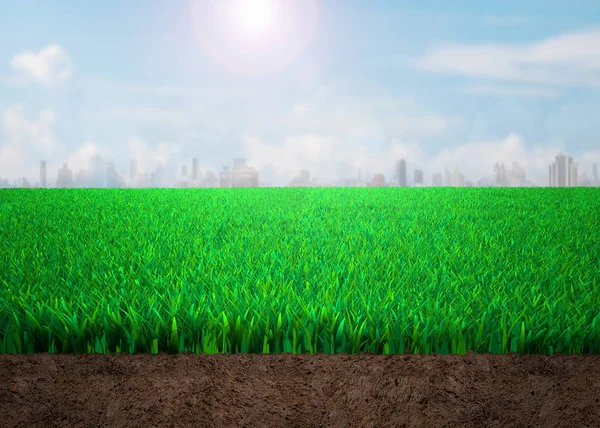 Cross Section Grass Soil Sunny Sky Clouds Cityscapes Background — Stock Photo, Image