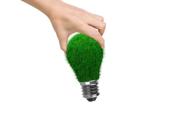 Woman Hand Holding One Light Bulb Green Grass Isolated White — Stock Photo, Image