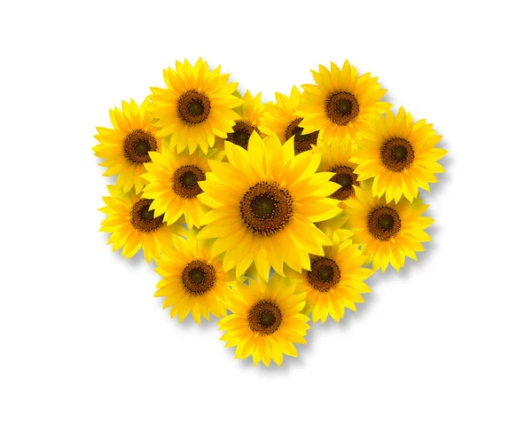 Heart Shape Sunflowers Isolated White Background Top View — Stock Photo, Image