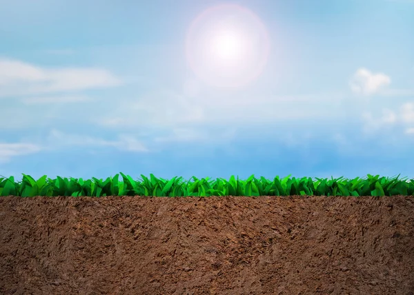 Cross Section Grass Soil Sunny Sky Clouds Background — Stock Photo, Image