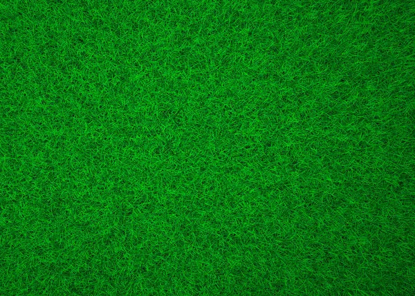 Πράσινο Γρασίδι Υφή Φόντου Φυσικό Μεγάλη Γωνία Προβολής Απεικόνιση — Φωτογραφία Αρχείου