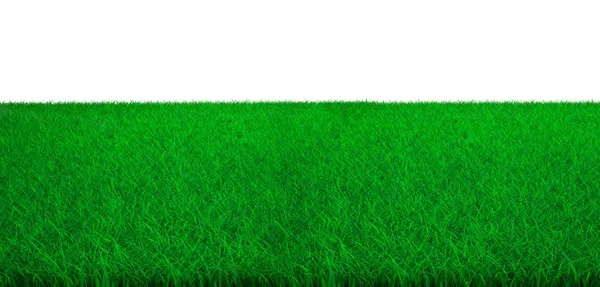 Grönt Gräs Fält Med Vit Bakgrund Illustration — Stockfoto