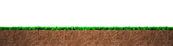 Tvärsnitt Grönt Gräs Och Jord Isolerad Vit Bakgrund — Stockfoto