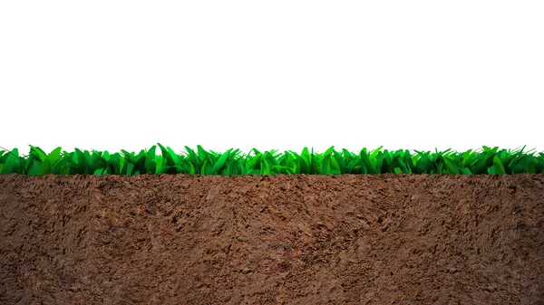 Cross section of grass and soil, isolated on white background.