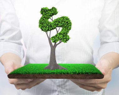 Yeşil dairesel ekonominin geliştirilmesi ve yeşil dostu teknoloji, ağaç ile holding kadın eller sağlayan kavramını çayır çamur, önden görünüm ile dolar işareti şeklinde yaprak.