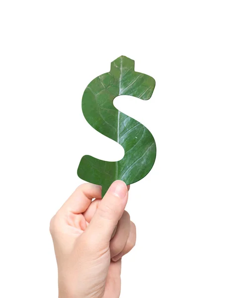 Handen håller löv i dollartecken form, gröna pengar — Stockfoto