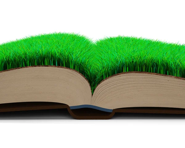 Otevřená kniha stránky textury trávy a zeminy. 3D obrázek. — Stock fotografie