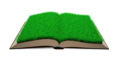 Çim ve toprak doku sayfasının açık kitap. 3D çizim.