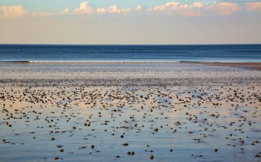 Brittany Fransa Kuzey Beach'de.