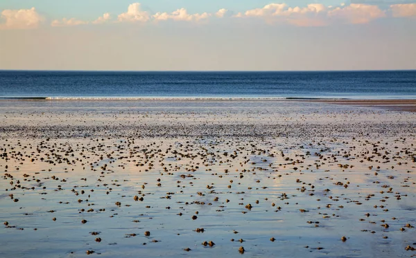 Brittany Fransa Kuzey Beach'de.