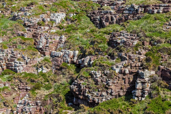 Деталь Скалистой Стены Характерной Побережья Бретани Севере Франции — стоковое фото