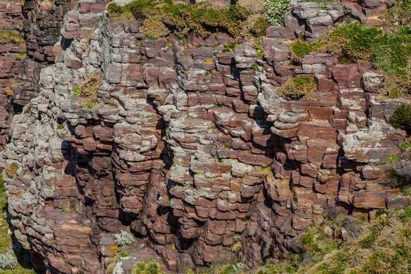 岩壁の北フランスのブルターニュの海岸線のために特定の詳細 — ストック写真
