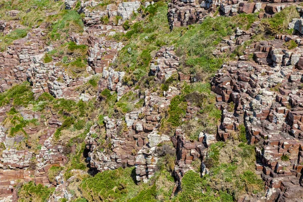 Détail Une Paroi Rocheuse Spécifique Côte Bretonne Dans Nord France — Photo