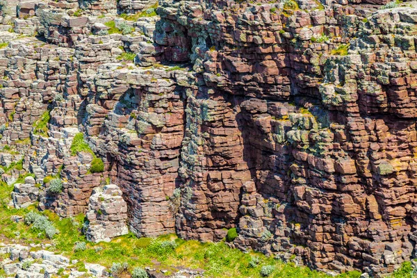 Detalle Muro Rocoso Específico Para Costa Bretaña Norte Francia —  Fotos de Stock