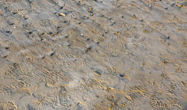ブルターニュ地域圏の足跡とビーチの鳥瞰図 — ストック写真