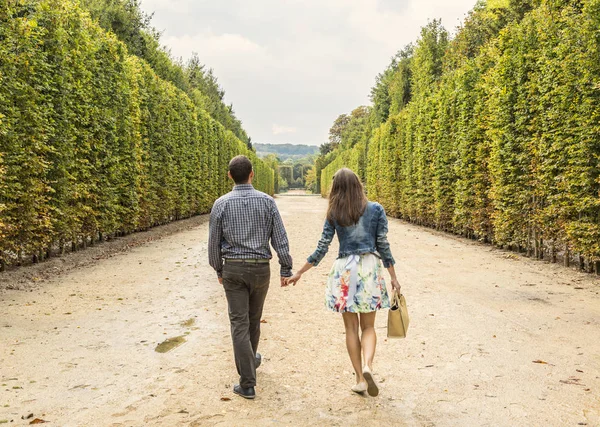 Rear Image Young Couple Walking Hand Hand Park Autumn — Stock Photo, Image